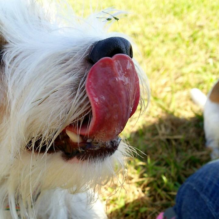 116f47b8 4130 40e2 85bc f3bce514b354