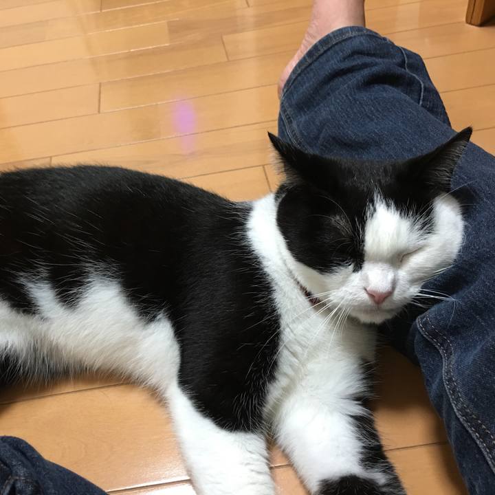 116f5026 4b38 49d0 9048 ada3efbc6aca