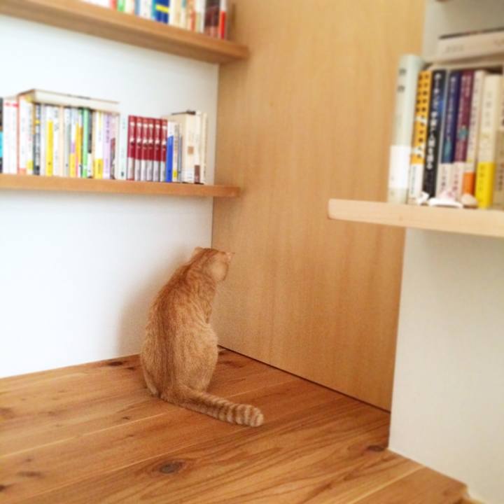 116ff705 478d 4a09 8327 4456f7bc870b