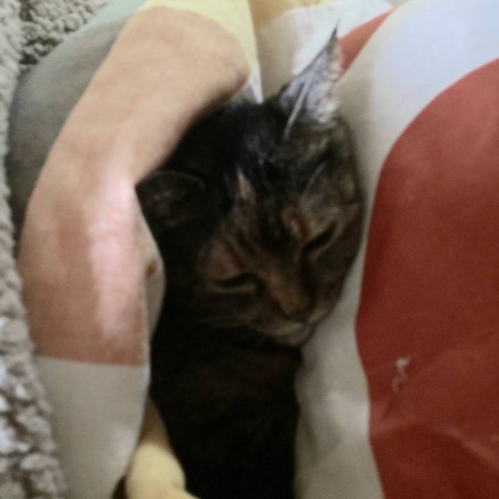 117018a1 da38 495d b03f ba6b6a7ce55c