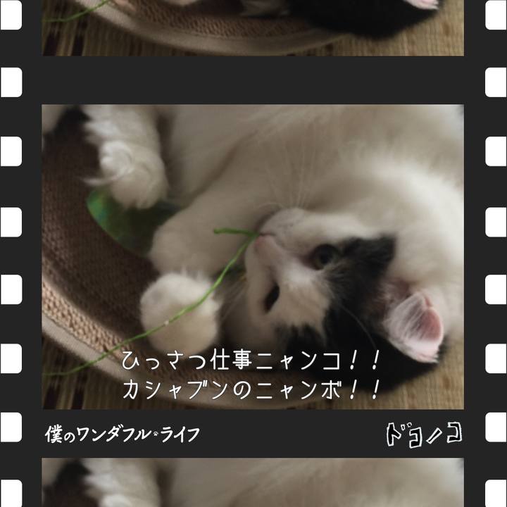 117057aa ec85 4122 be6f b704a46bbe2d