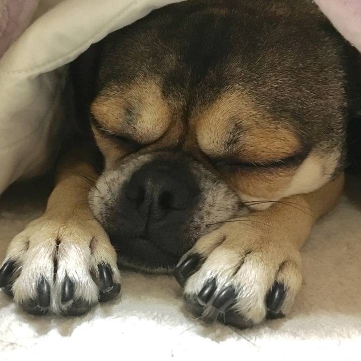 117059ee cebb 4aaa aaef 03c1bea38baa