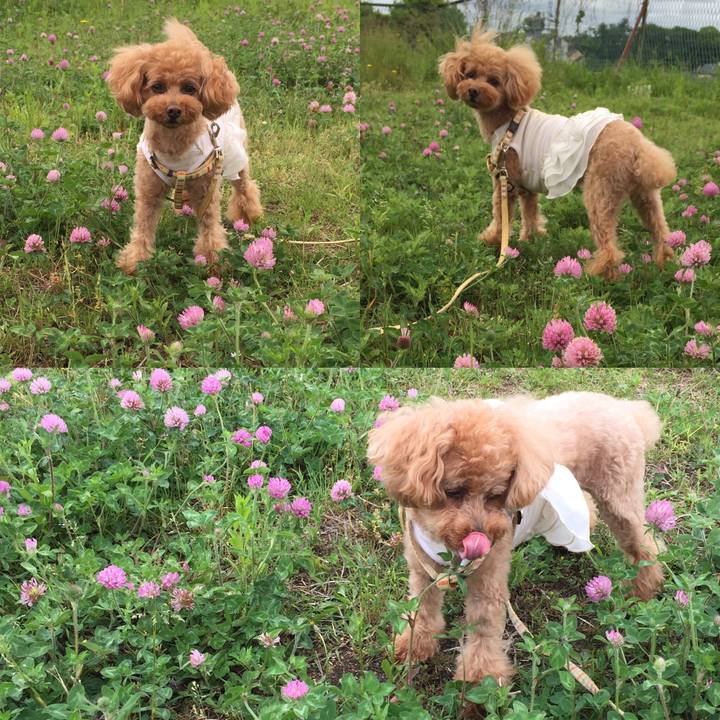 117095b5 022a 4d98 bf79 4a226a2a3c5c