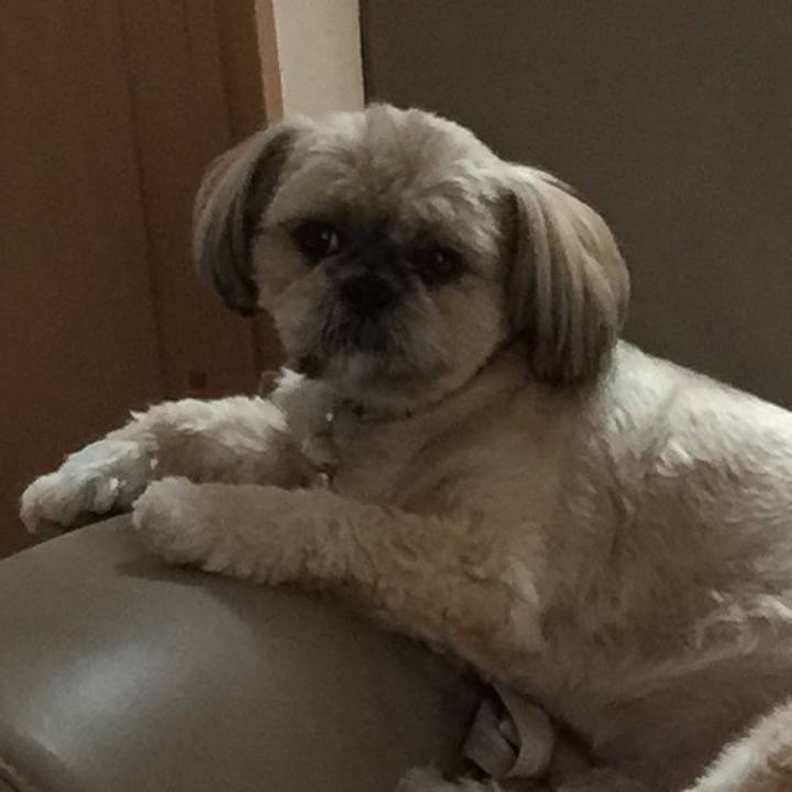 1170d742 b031 46e2 9942 2a094fad1227