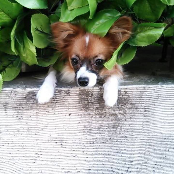 1170e75b 8289 438d 9329 418ecc5c5256