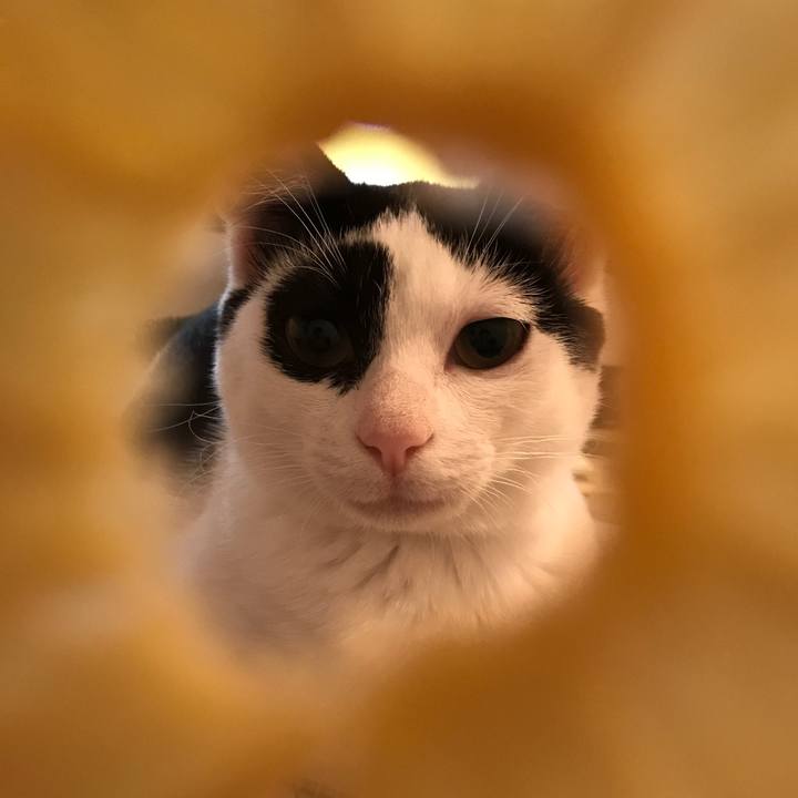 1170f550 e475 44ac affe 128dbcceaddb