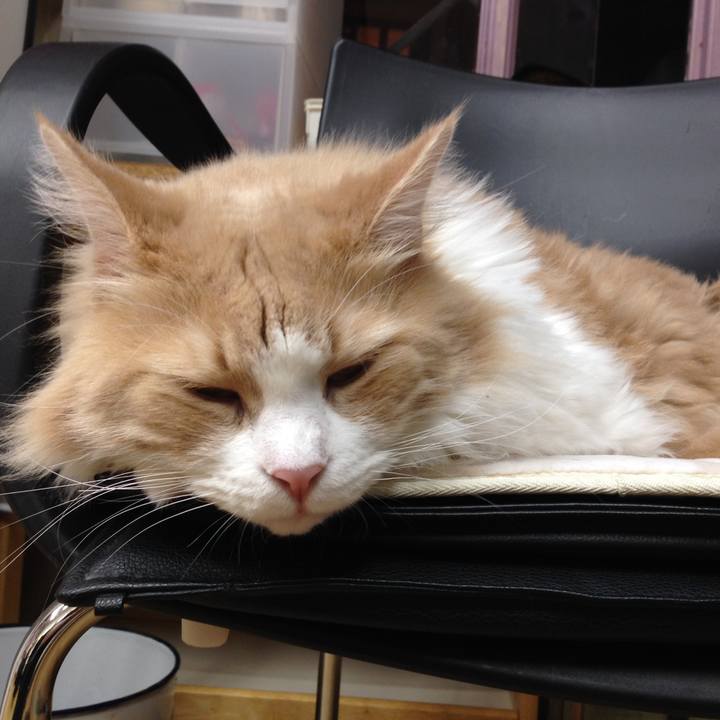 117265e0 56b2 4646 8c75 bafa943439e2