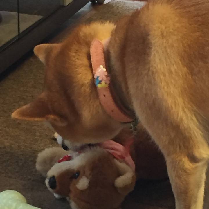 1173027e ebe9 4e05 a672 299ebbbe98aa