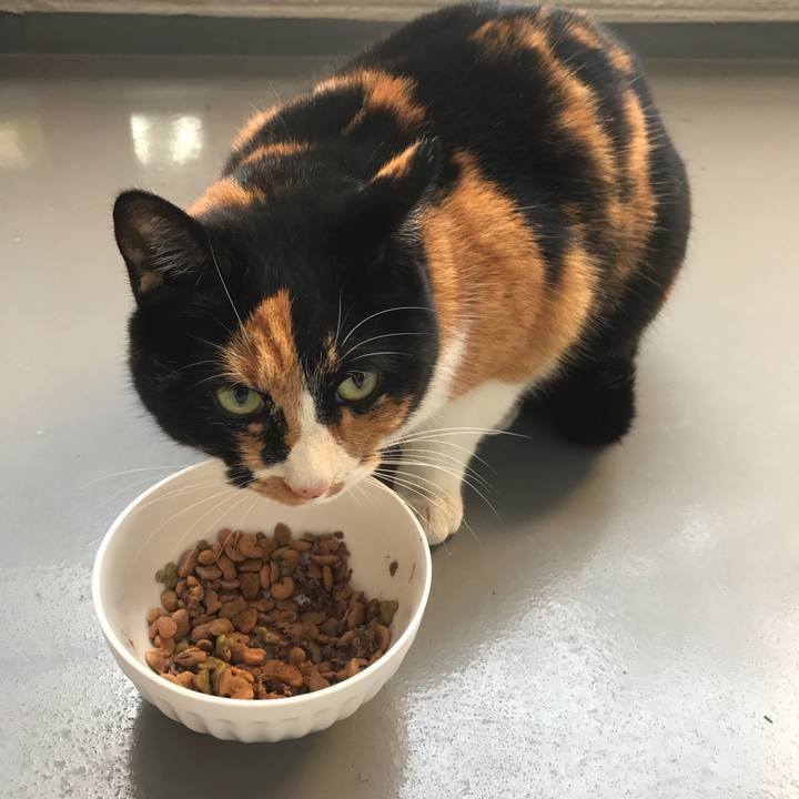 11733105 2b5b 44a7 875a 8b79ae0f660f