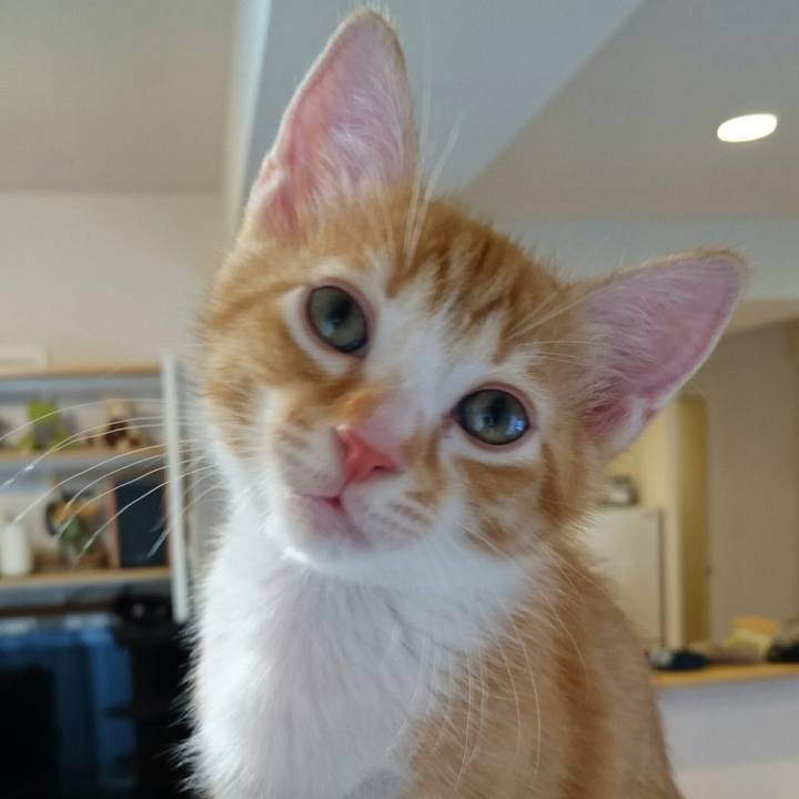 1173634a d784 4983 868a 46a7c28e1361