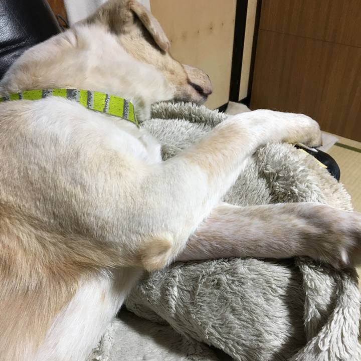 11737316 7a15 4d37 8a4f 2efa9d89d0d4