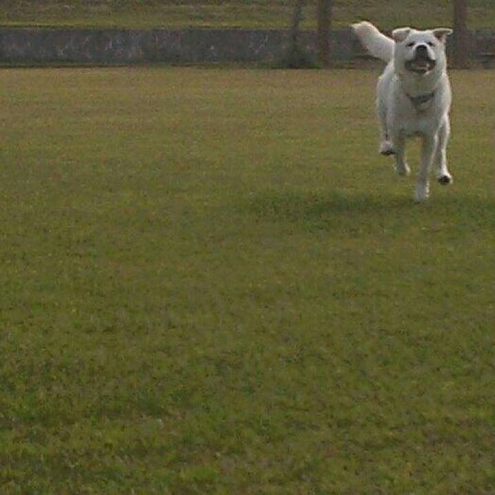 11741a96 2e85 4d8e b1c3 06c0f37cc787