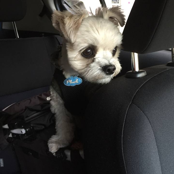 1174a15d b168 4b9b ba30 a77b33dbab39