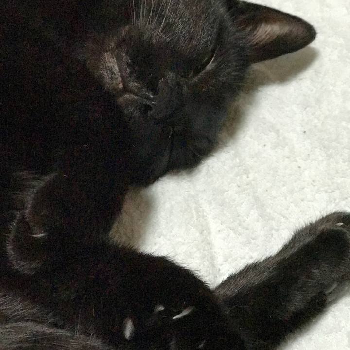 1174e592 8bb0 4e58 b95e f187684b9264