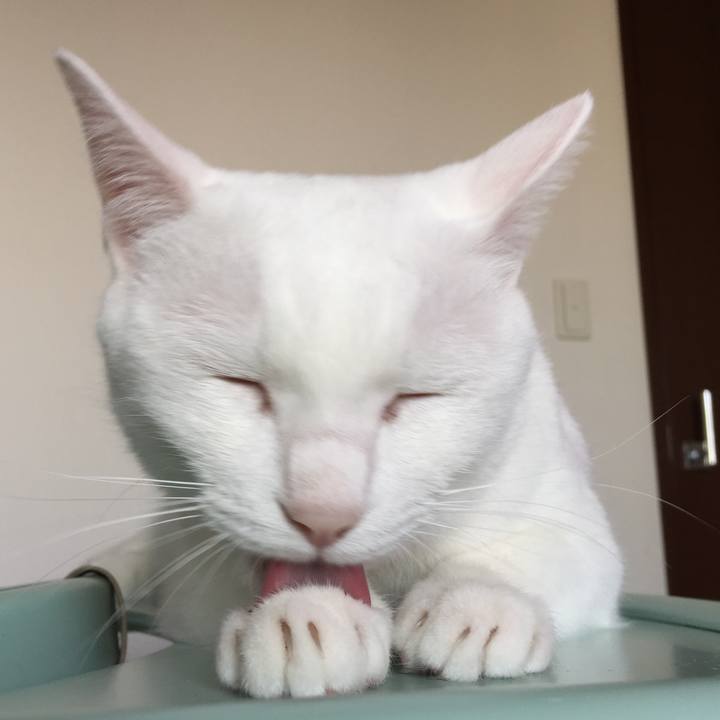 11751946 9b74 4944 84d8 04e38248af34