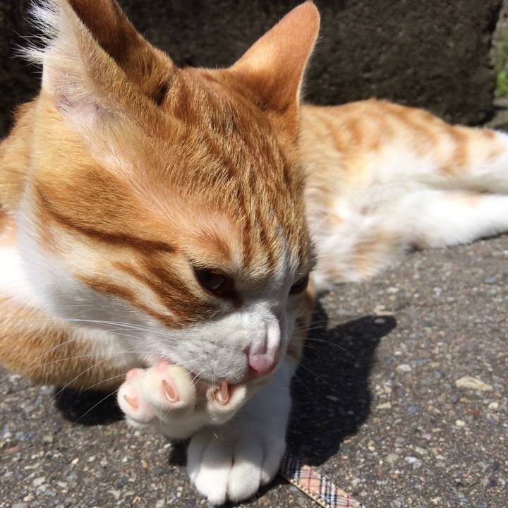 11754be5 5466 43fc ab8a bc4a5088cbae