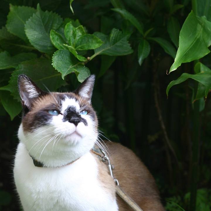 1175b0d1 dc40 4ec2 8418 ccc7801ae432