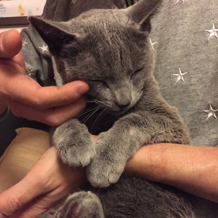 1175d4c5 0526 4f77 8b40 89bed609f1f2