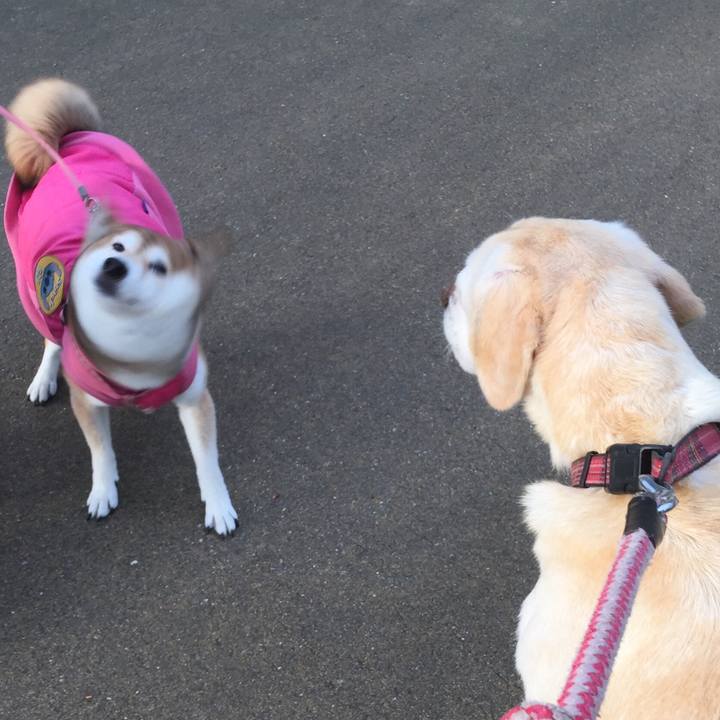 1175d7e3 1a23 4493 87d0 fdf6a3fe1f52