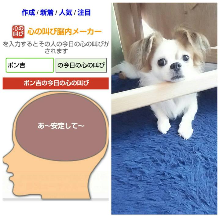 1175da10 4b6f 4b5a b9eb 6f4f11c06078