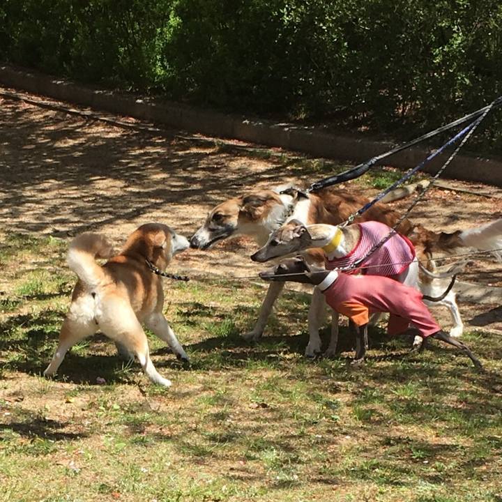 117609bd d87f 4f2d 8894 2034f57955ba