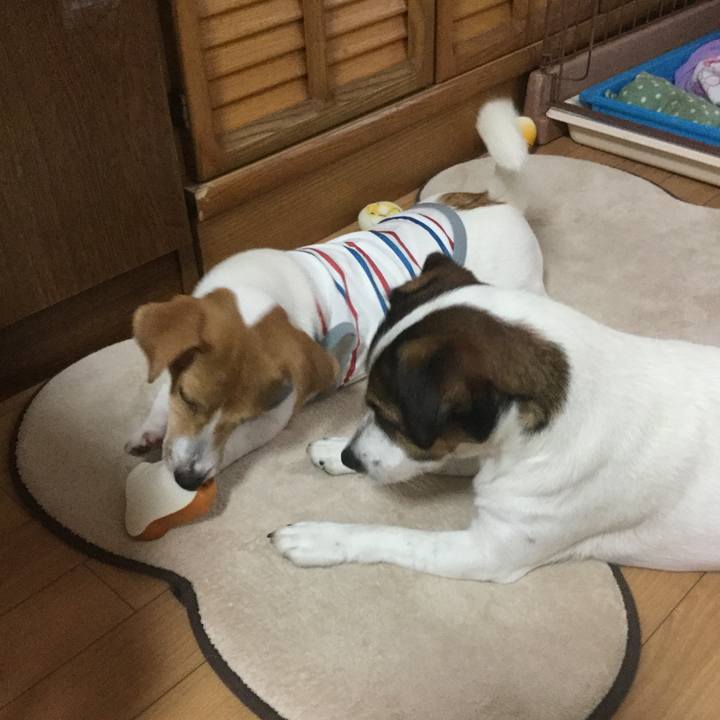 1176bca7 7cd1 4350 bbcc 6b8518073774