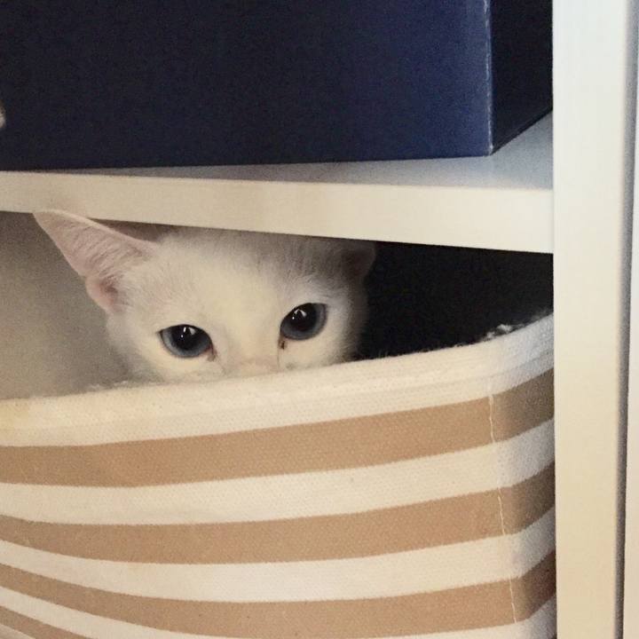 117710c9 7686 480f b1a0 e6d6feed0af5