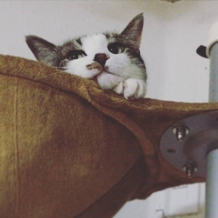 1177e062 1088 478e 8016 a91a5303c428