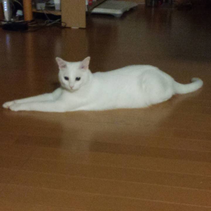 117801fa 9ef0 46a3 9d4c 492e0c33cd6e