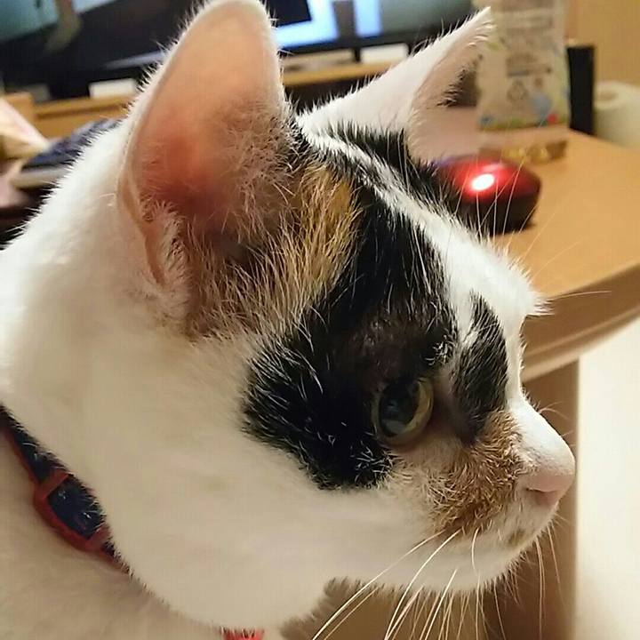 1178c72c 1909 4b46 8cce bb2b0a690f60