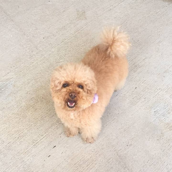 11798ee7 5051 48a1 bd3c b1118cac1d41