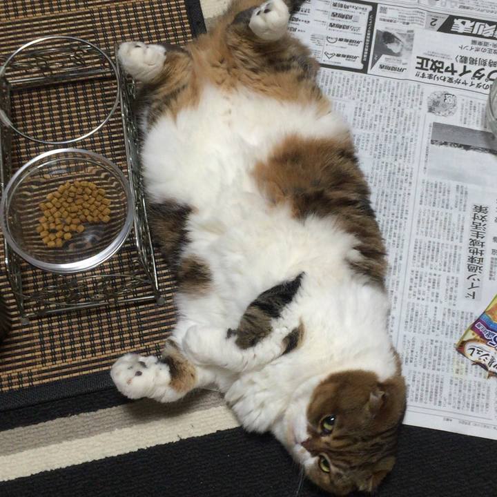 117a902a cb34 4abe bcaa 4690bb993c45