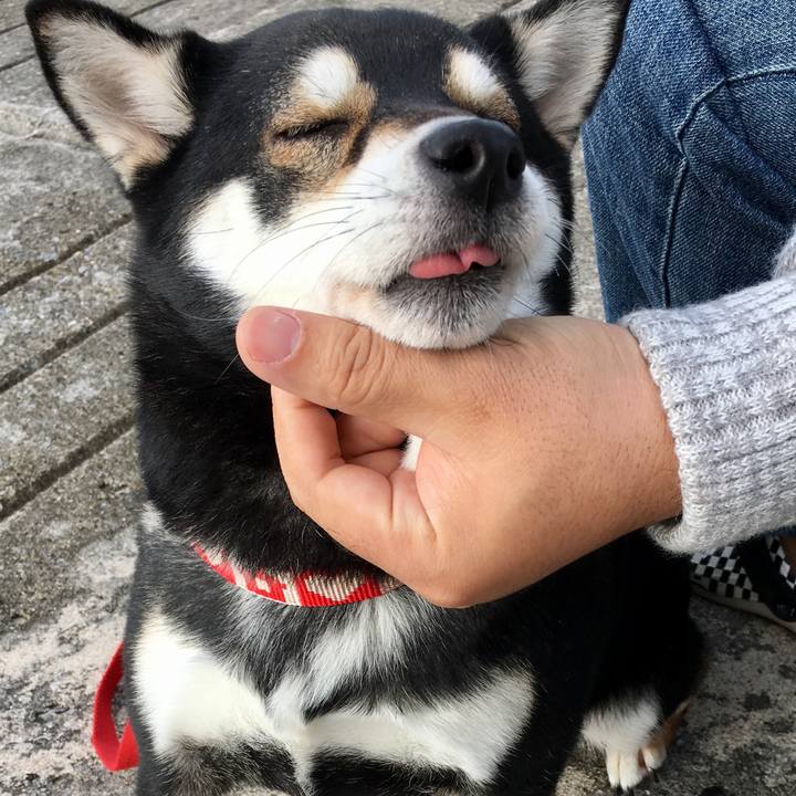 117a94bf f60a 42ff bbe1 1e8de11b74bd