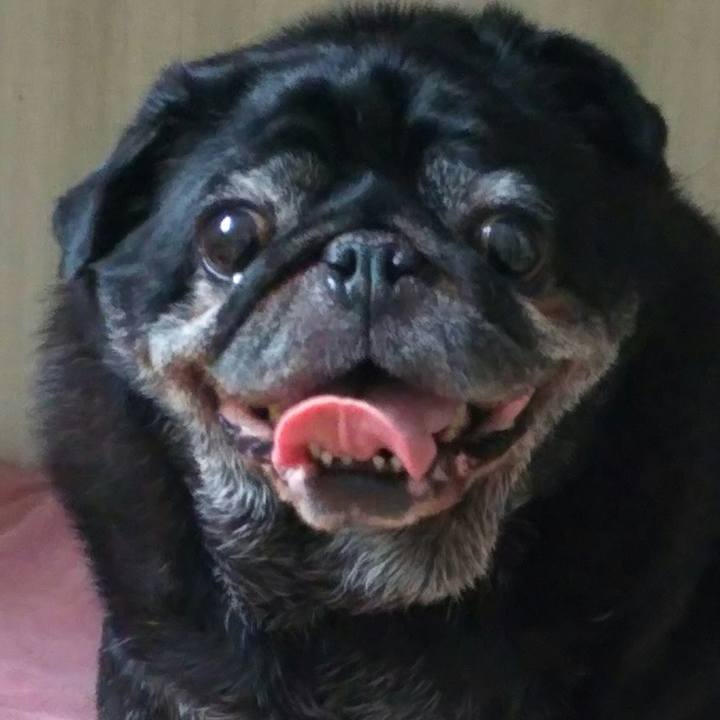 117b5d3e f982 455b b8a0 54a5a2c7dc24