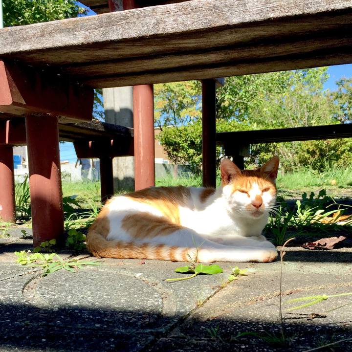 117b5d40 6e04 4817 a287 880431df021d