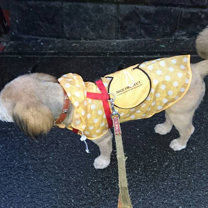 117bfd52 5dfc 4682 b0fb b636a58c969e