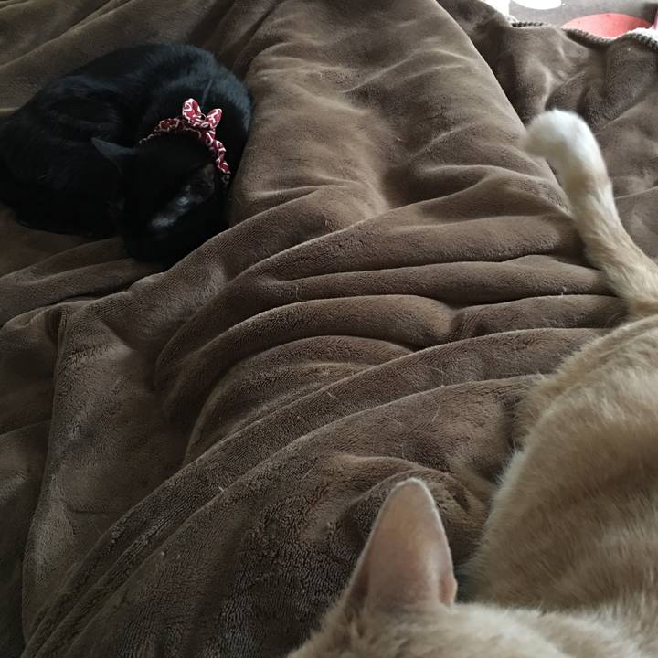 117c102f ce15 4aa5 a2ae 084f0fb279e2