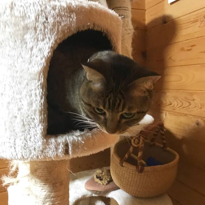 117c1808 d2e4 4b19 b9f5 a7a8171ded06