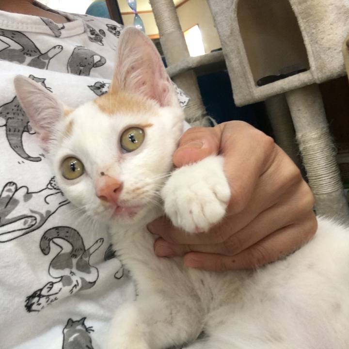 117c2424 f546 42f8 9b85 c8c60ba0c7e7