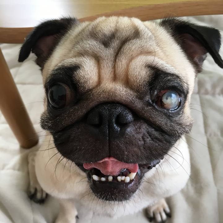 117c54b3 94a2 4131 a135 0ffd6b454cb1