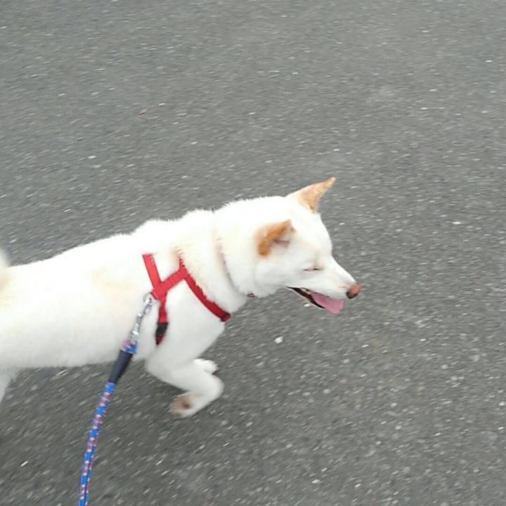 117c8347 9ee7 48be a17a a8fc7cb152ef