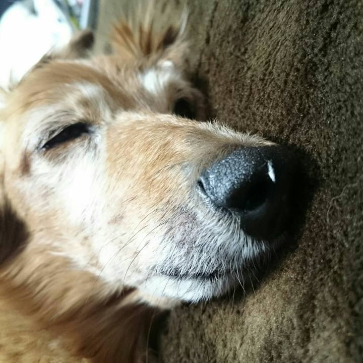 117c9055 30d5 405a bc76 581422a67a4b