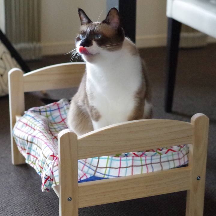 117ca302 d436 493a 90a6 a5e061492a53