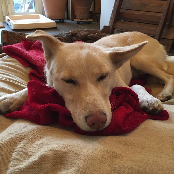 117cc0bf 6539 4008 ae87 97d495cb884b