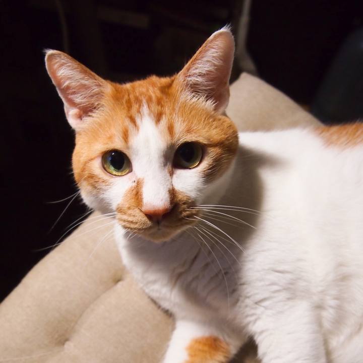 117dc202 c12e 404d 9a89 10320f1e3ffc