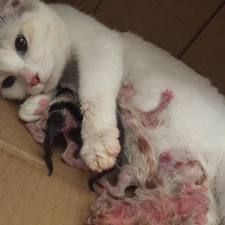 117e04e3 fd84 4f08 8337 cb861b46a505