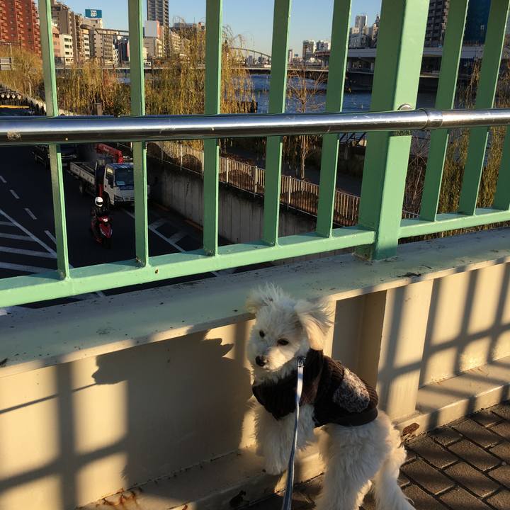 117e104c a939 41b6 8a27 8a0e7ec71b55