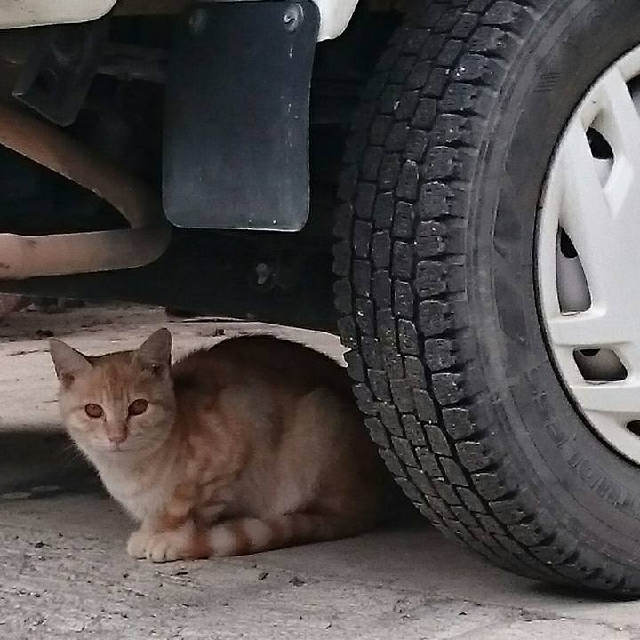 1180025b 6fd7 4c65 b4bc 92cfa0138c79