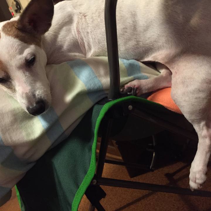 11801a64 5e3c 4d50 afb7 6bf1fc8964b5