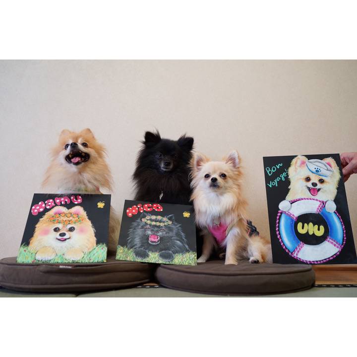 118051d2 6083 41ee 8db2 ad925bdf6a40